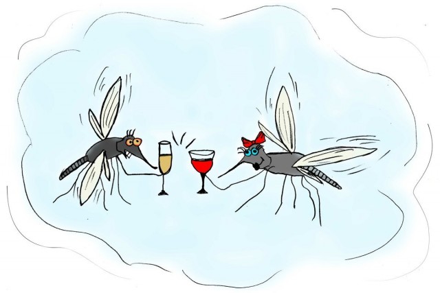 Чаще всего комары кусают любителей пива и секса