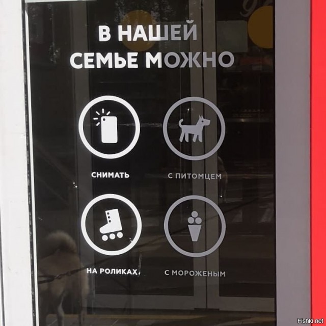 Всем любителям животных. Это норма?