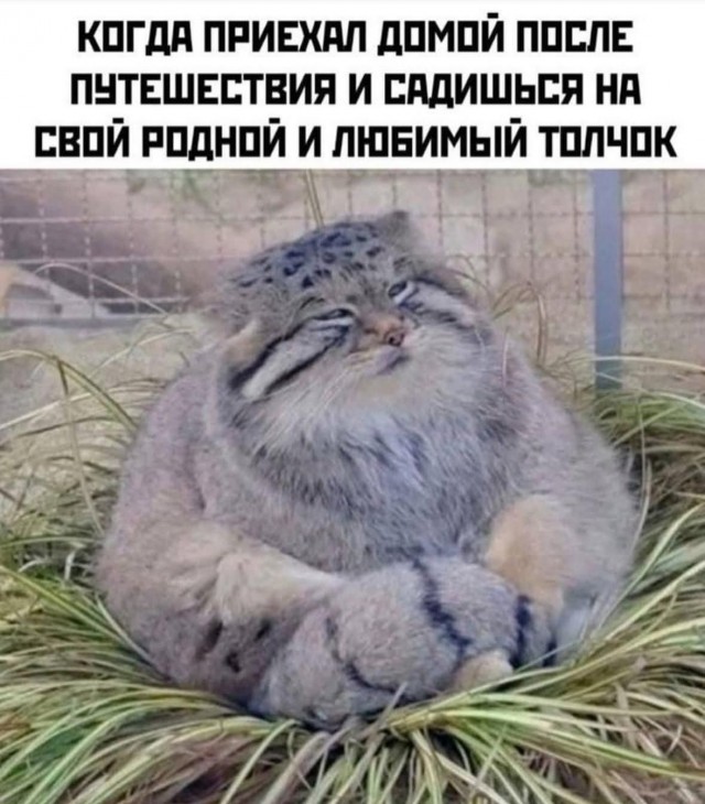 Маленькая пятница 5.11