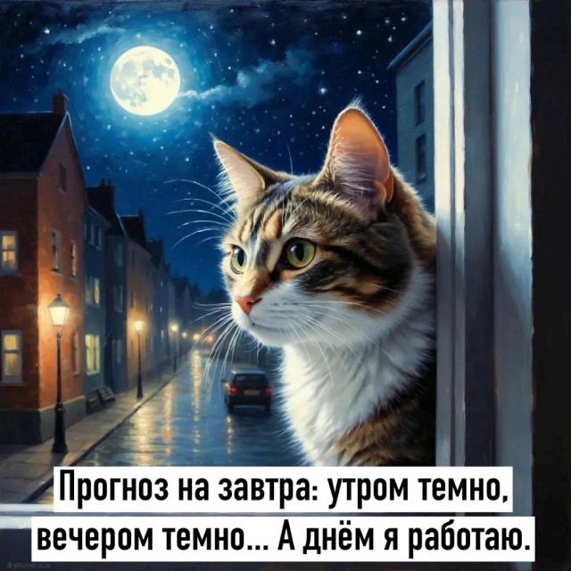 Так себе картинки 15.11.25