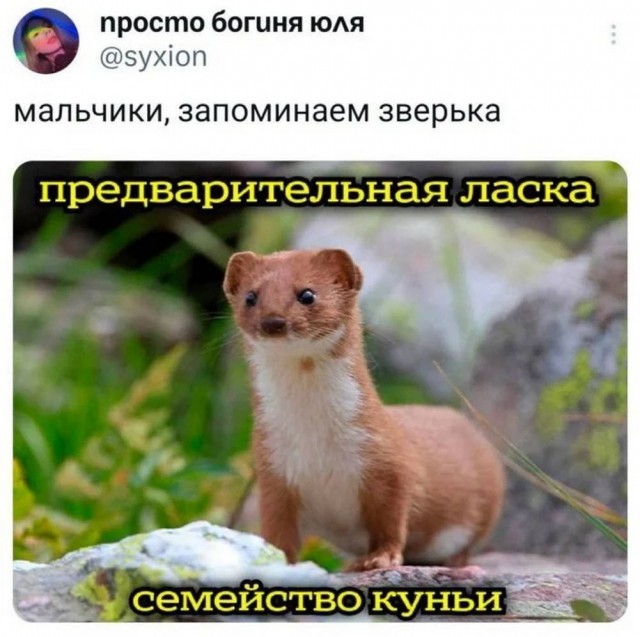 Прикольные и просто красивые картинки 25.11.2025