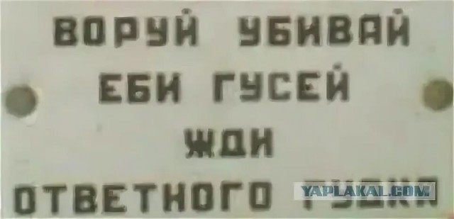 21:38 Сапсан Питер-Москва.