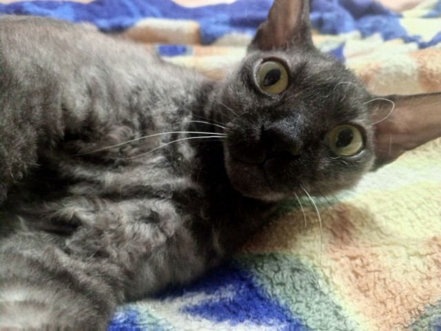 Находка в заброшке