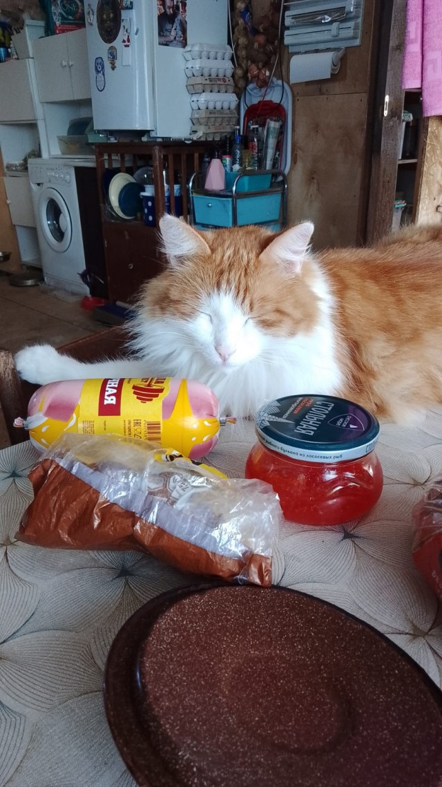 Нашелся таки хозяин (точнее хозяйка)