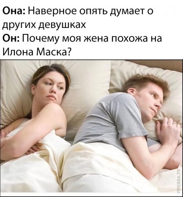 Веселые картинки в пятницу (20.02)