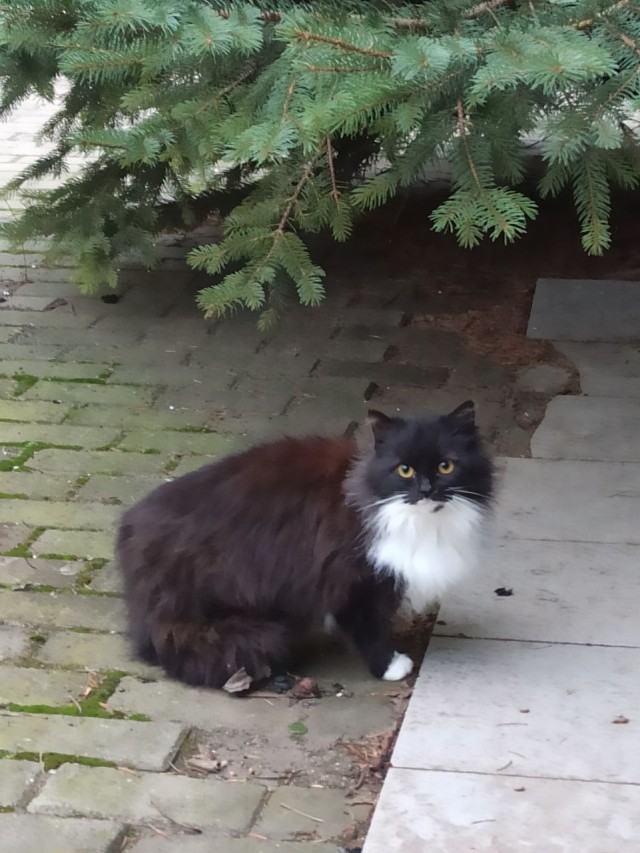 Плюсы загородного дома⁠