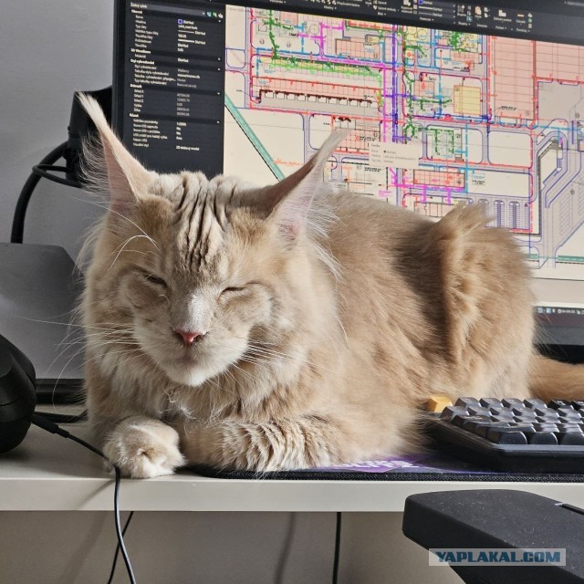 Котское.