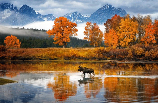 Фотоконкурс National Geographic Photo  2013