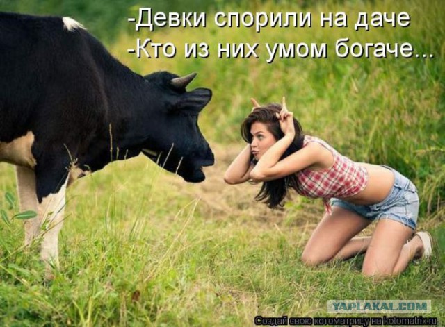 Интернет и реальность