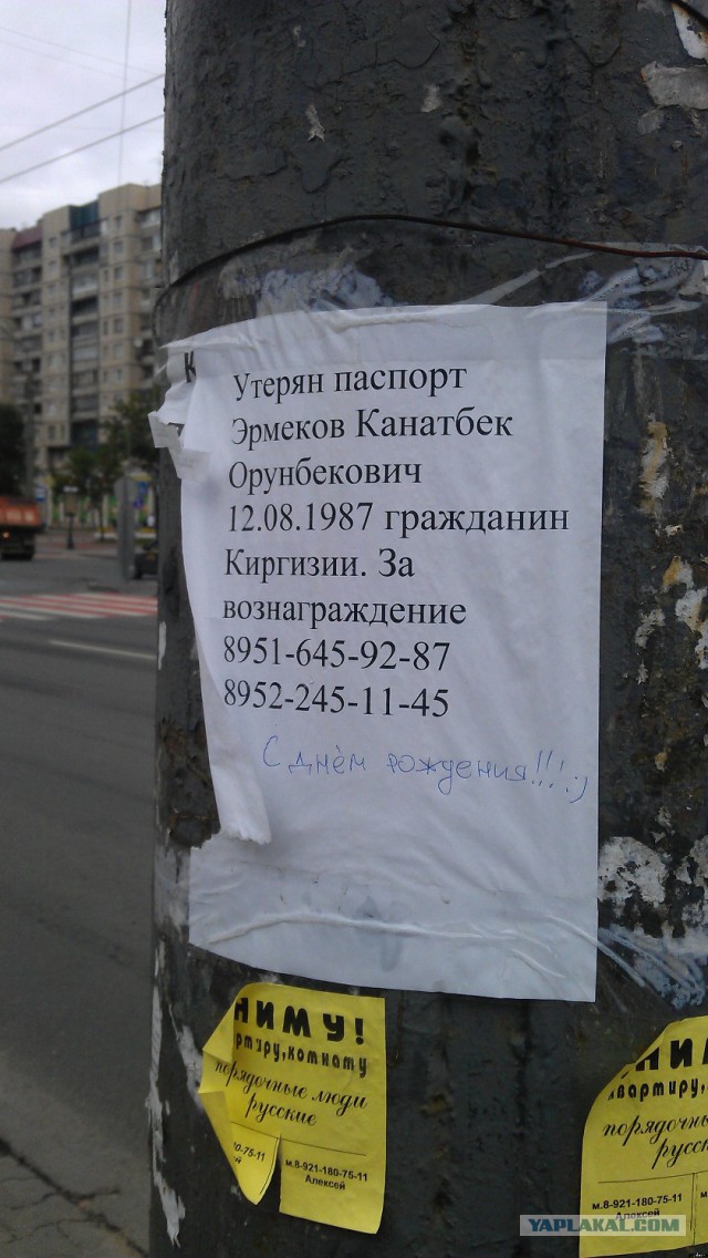 Визуализируем свои Дни Рождения