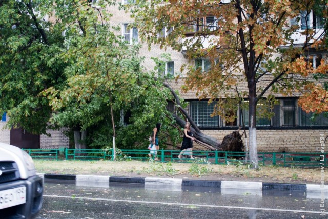 Последствия урагана в Лефортово