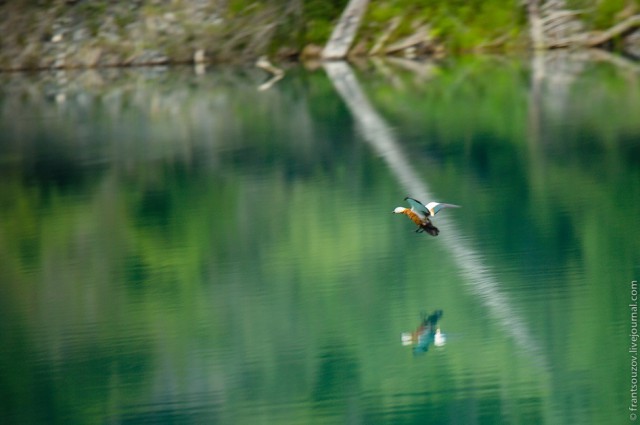 Озеро Каинды - Утонувший лес