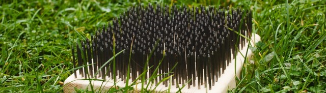 СтопХам 74 Истерика