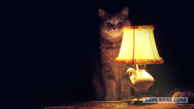 Я люблю одновременно троих мужчин