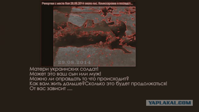 Разбитые каратели под Иловайском ДНР 30.08.2014