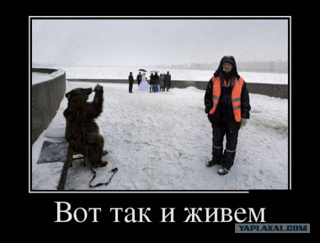 Веселые картинки
