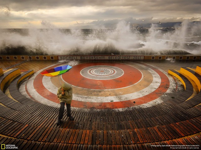 Фото года по версии NatGeo