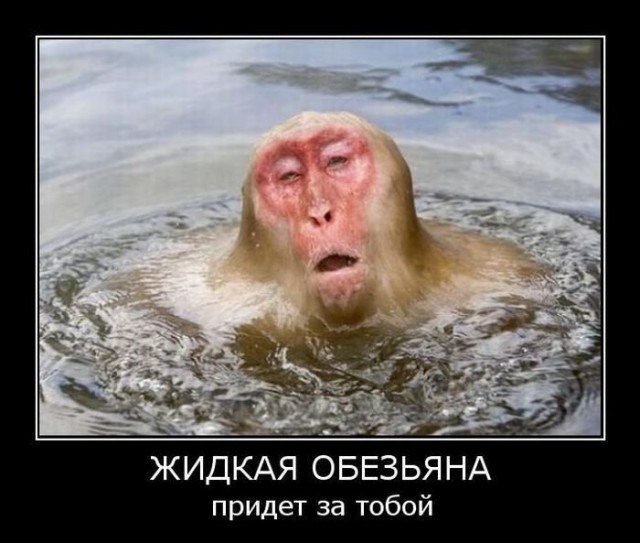 Скованная морозами