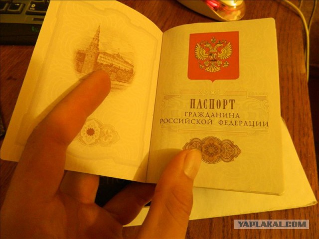 Карьера беженца. Финал