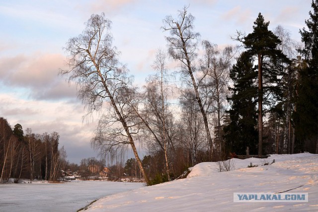 Моё увлечение фотографией