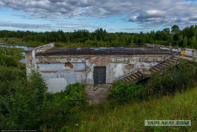 Древние беломорские петроглифы