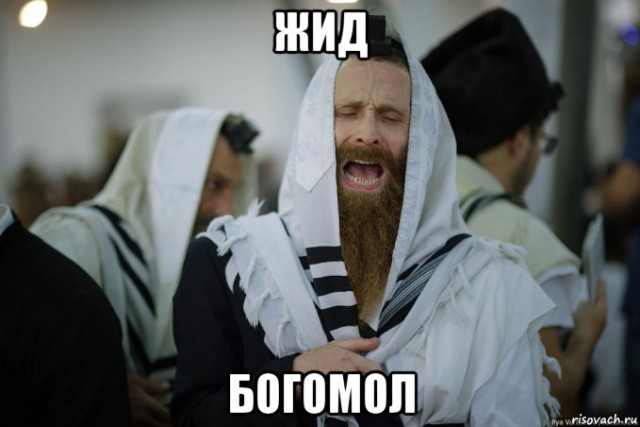 Богомол прыгнул на лицо мальчика