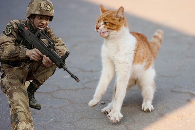 Фотожаба "Огненные Учения" Пожабим?