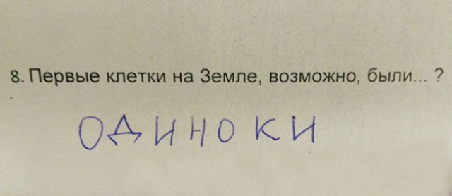 Порция картинок из сети