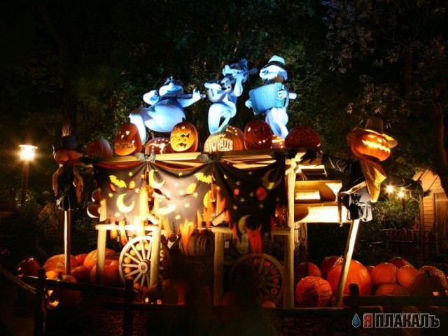 ХЭЛОУИН. Празднуем Halloween