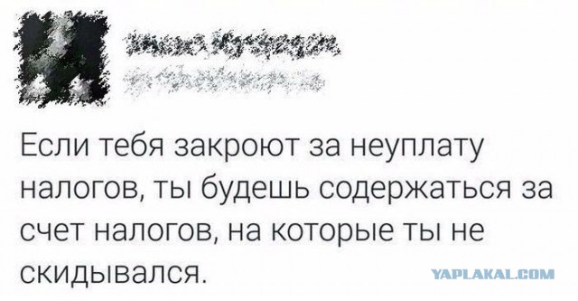 Подборка смешных картинок