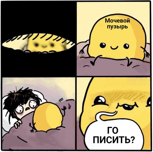 Смешные картинки из сети