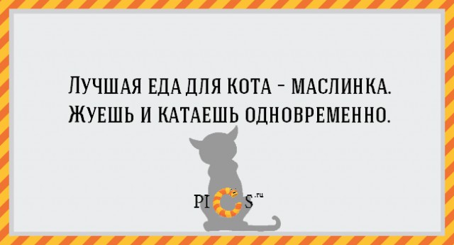 20 открыток с истинными мыслями котов