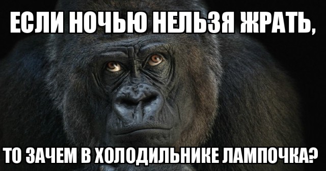19 высказываний от профессионалов похудения