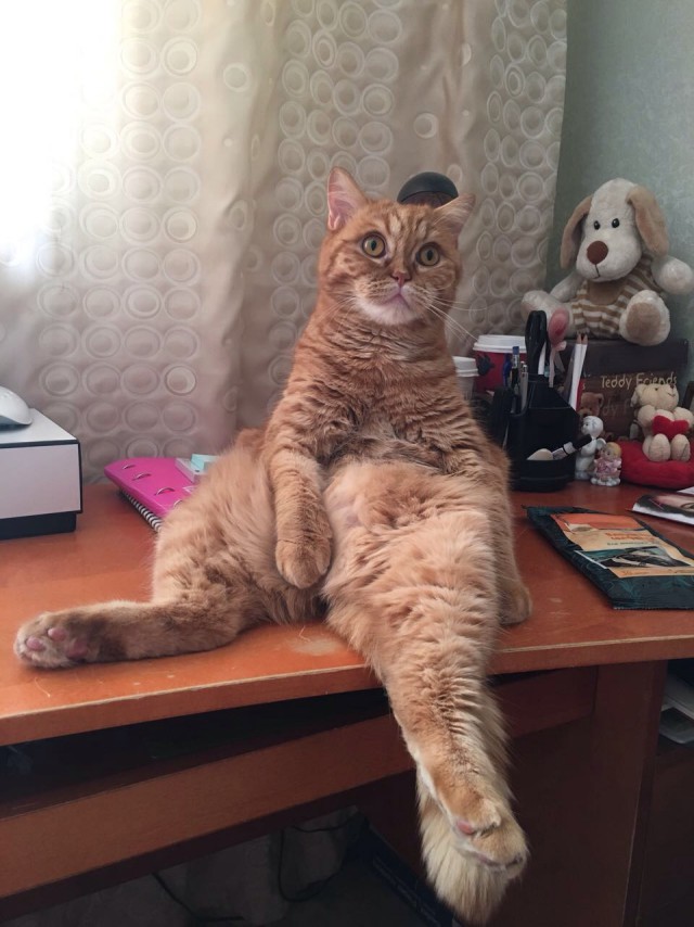 И мойку поломали...