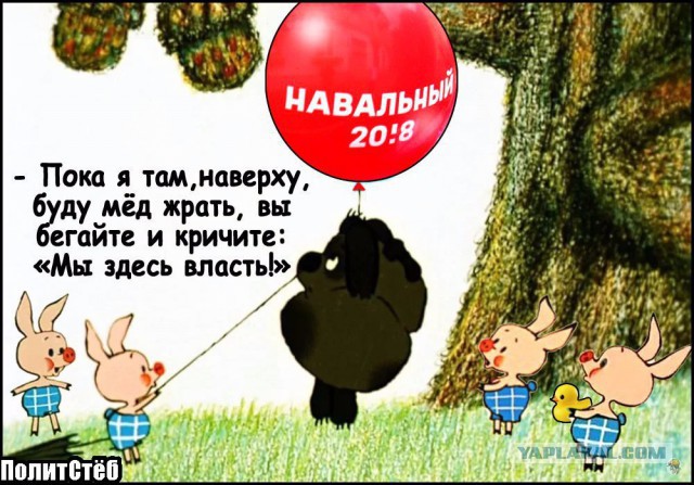 Пойдете ли вы на выборы?