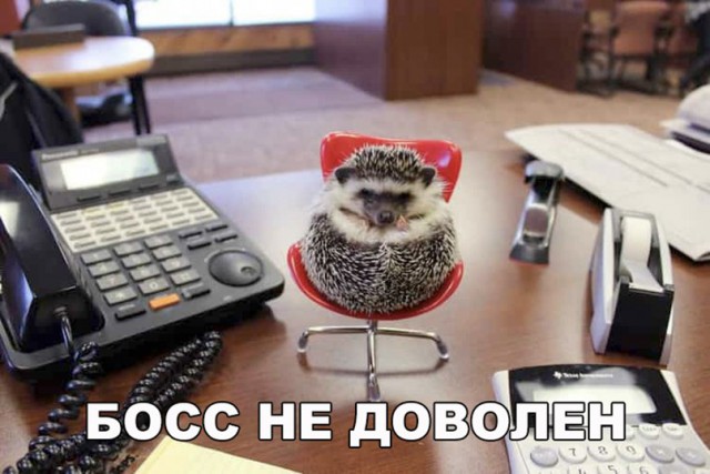 Нестандартный юмор