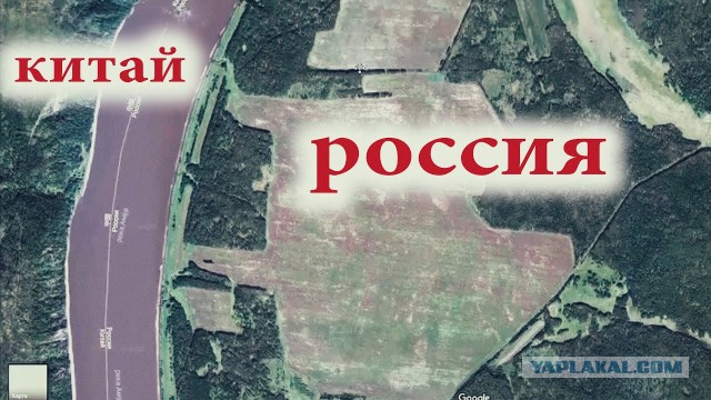 Что мы знаем о деревьях? Вот какие тайны хранит древесина