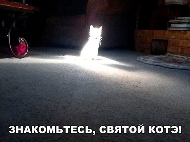 Немного милоты