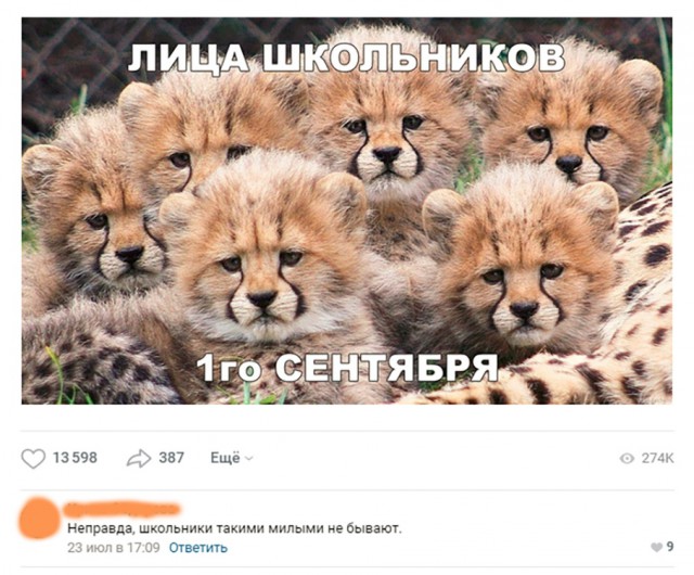 Прикольные картинки абавсём
