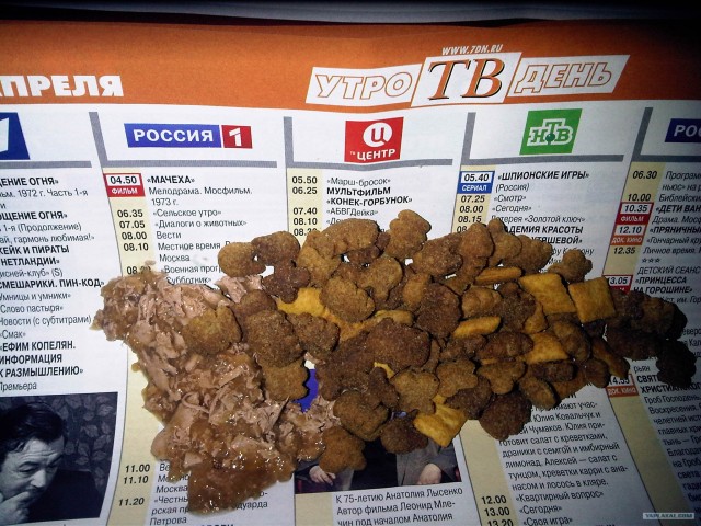 Бездомный котэ