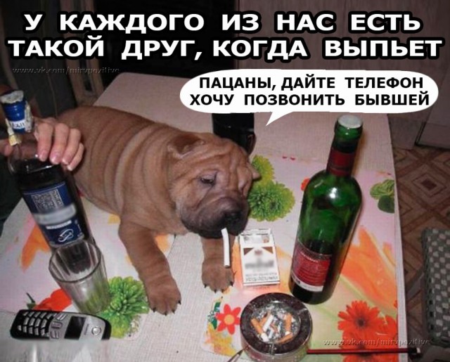 АнДиградаунт