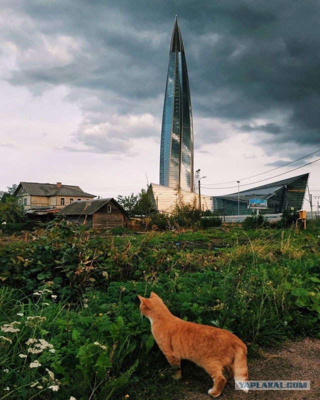 Картинок разных