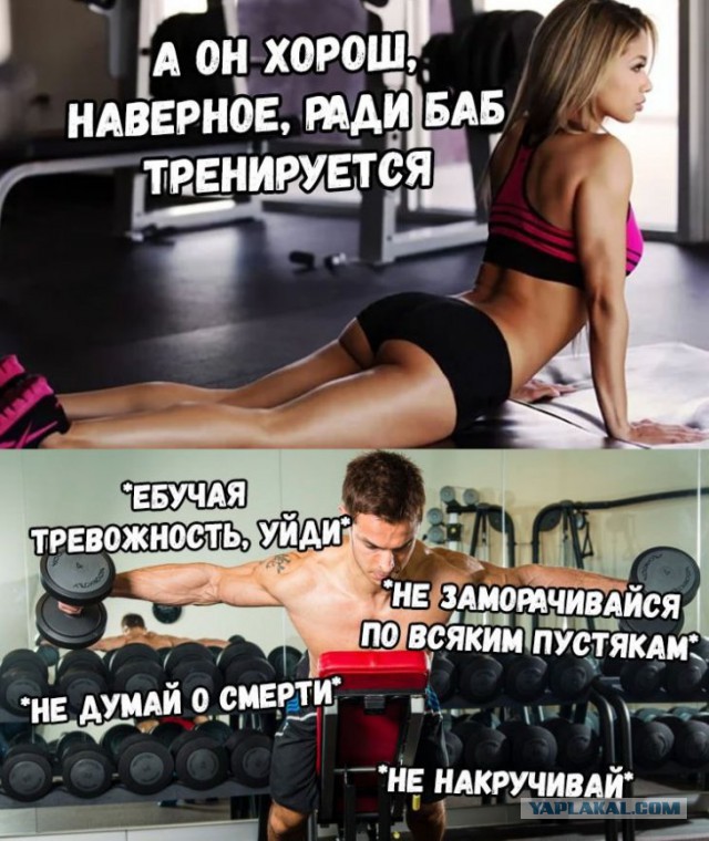 Немного картинок для настроения