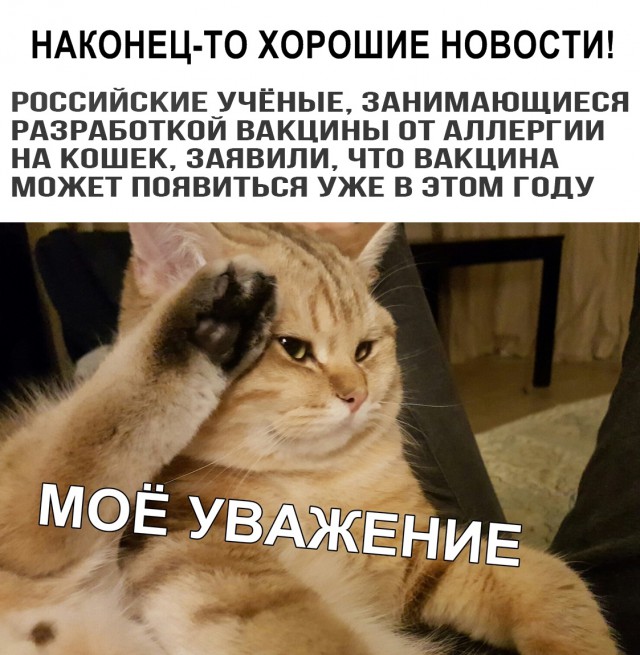 Картинки