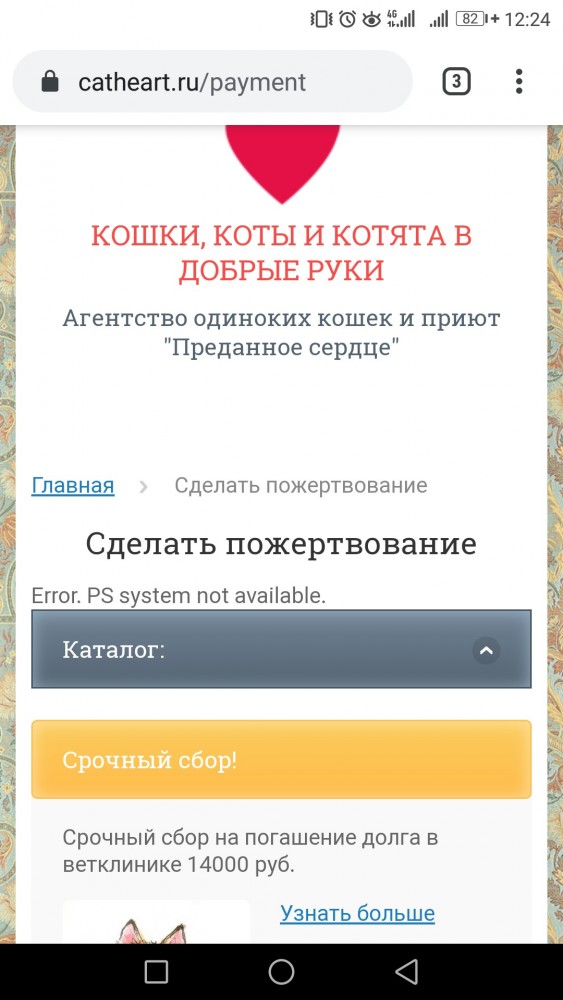 Помогите вернуть кота! Приют "Преданное сердце" украл кота и не отдает!-2