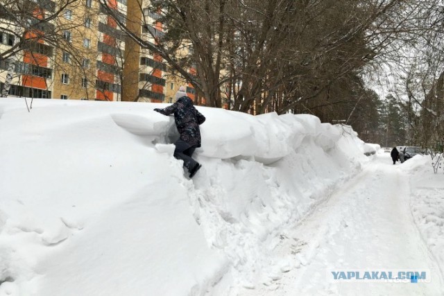 Самая высокая за 140 лет температура ожидается в Москве в январе. Такая вот "зима"