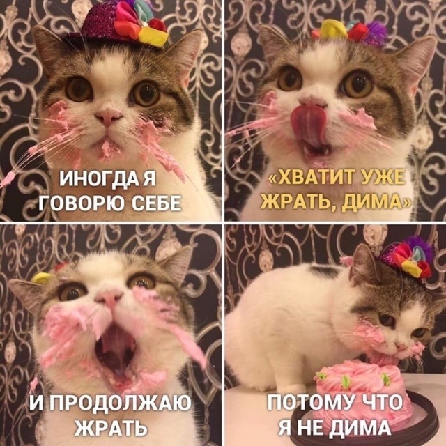 Разнокартинок псто 09.02.20