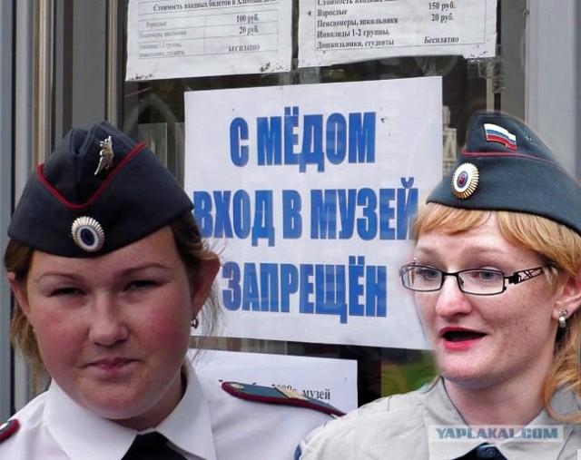 Фотожаба: Наши доблесные органы