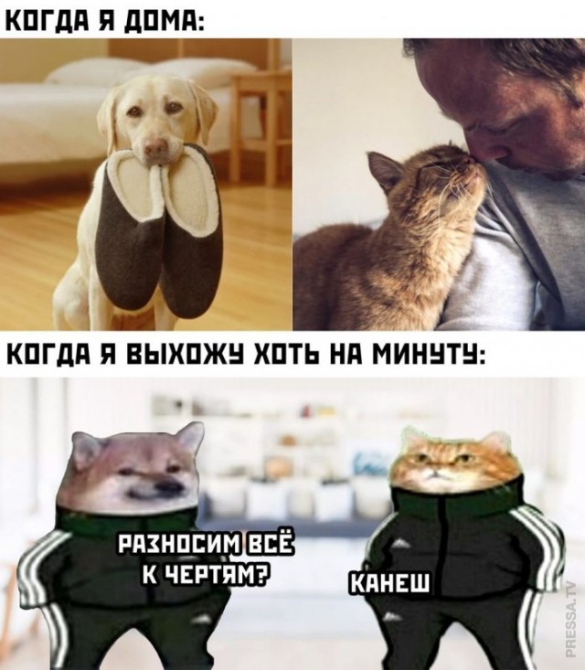 Немного картинок для настроения 18.11.20