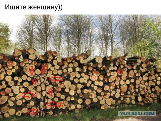 Бредзона 05.12.20